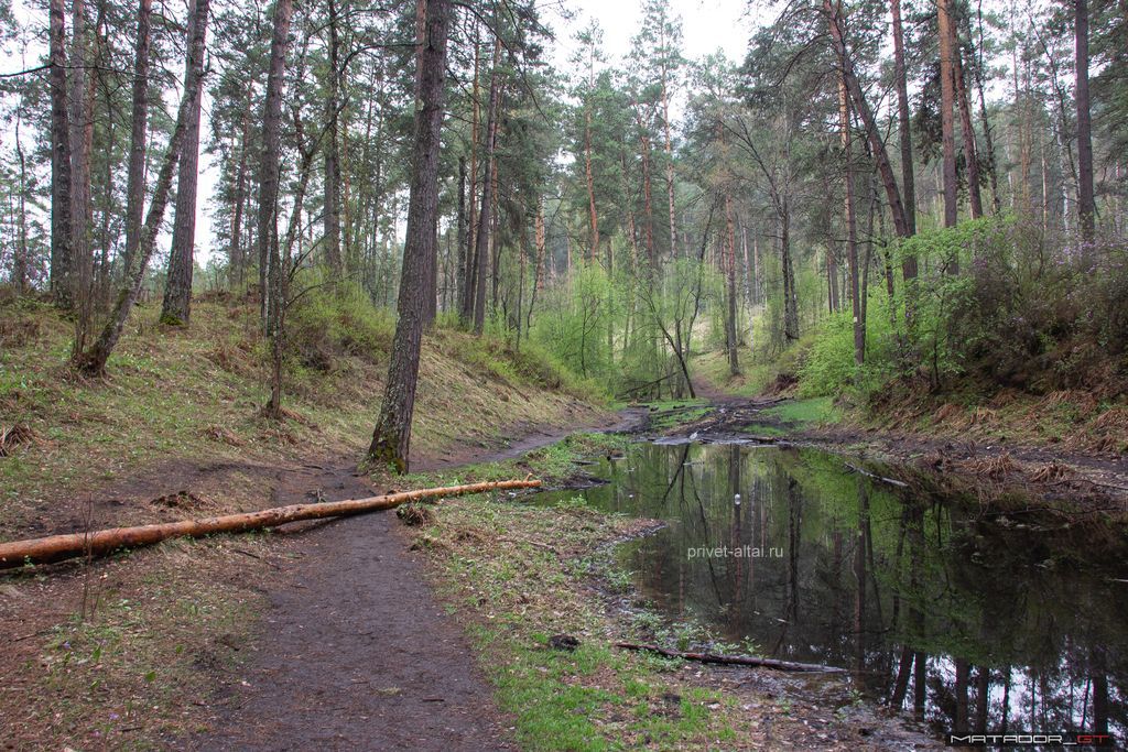 Камышлинский водопад: как добраться, описание, фото