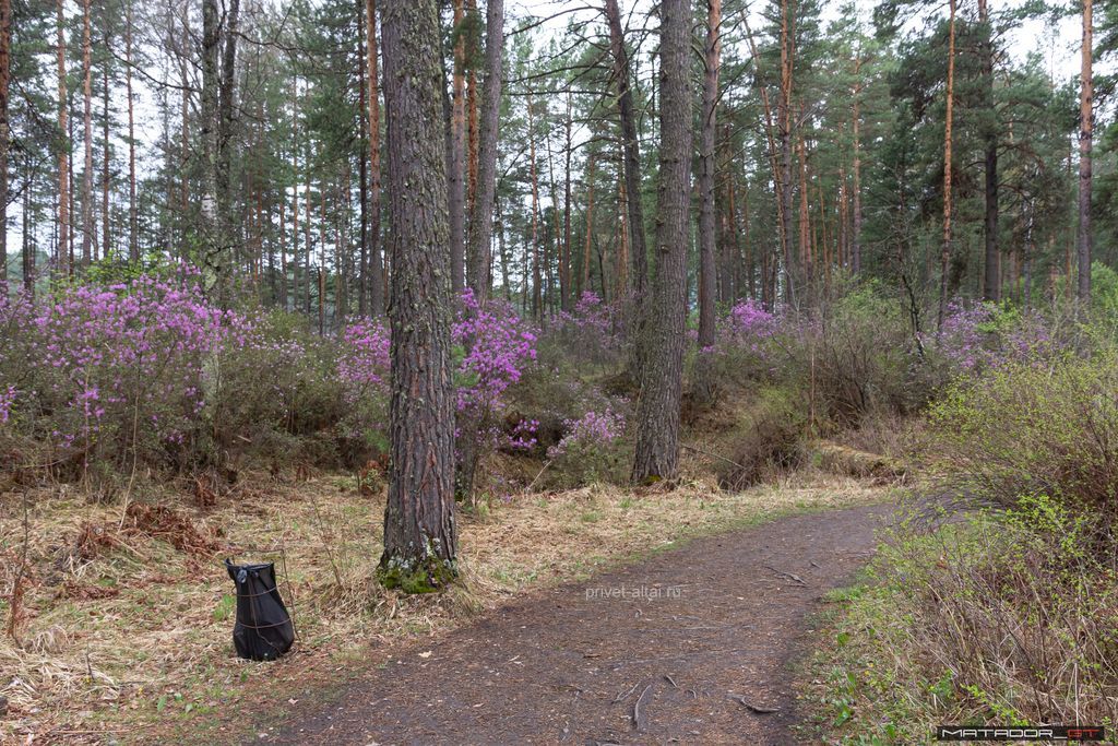 Камышлинский водопад: как добраться, описание, фото